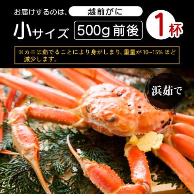 ふるさと納税 越前町 ≪浜茹で≫越前がに 小サイズ × 1杯(500g前後)【12月発送分】 |  | 03