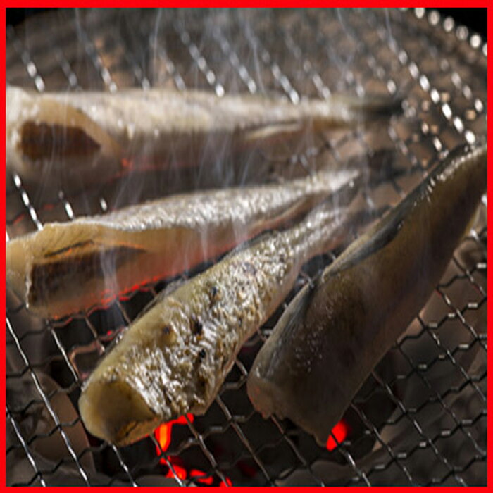 【ふるさと納税】【12月21日決済確定分まで年内配送】 [北海道根室産] 一夜干しこまい 200g × 10 袋 コマイ 氷下魚 カンカイ さかな 魚 サカナ 干物 珍味 おつまみ 生干し 北海道 根室市 ふるさと納税 A-30012