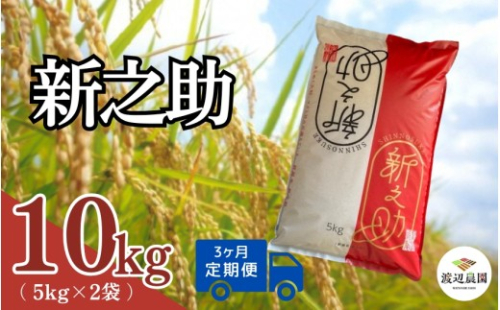 令和8年産先行予約【 定期便 3ヶ月 】 米 10kg × 3回 五泉産 新之助 | 白米 精米 しんのすけ お米 おこめ コメ こめ おすすめ 人気 新潟県 五泉市 渡辺農園