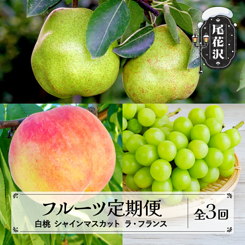 【ふるさと納税】先行予約 フルーツ定期便 白桃 シャインマスカット ラ・フランス 全3回 秀品 山形県産 フルーツ 果物 くだもの モモ もも ぶどう ブドウ マスカット ラフランス 西洋梨 洋梨 梨 定期便 2025年産 令和7年産 佐竹物産 sb-fthsl3※沖縄・離島への配送不可