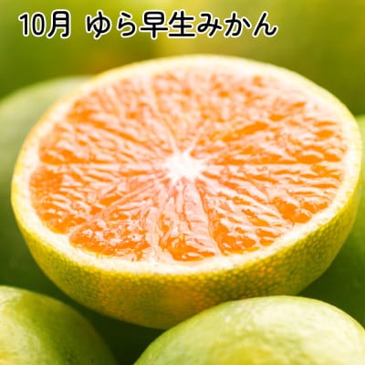 【発送月固定定期便】家庭用 柑橘定期便SS(10～12月)全3回【配送不可地域：離島・北海道・沖縄県】