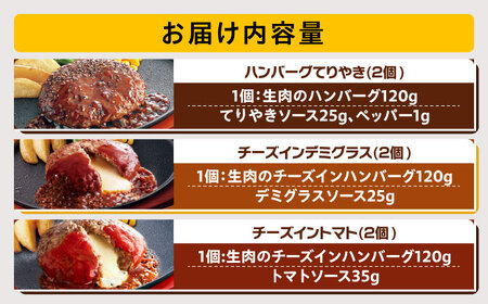 【福岡工場直送】ジョイフル ハンバーグ スペシャル 詰め合わせ 3種 6個セット 【株式会社 ジョイフル】[ABAA086]