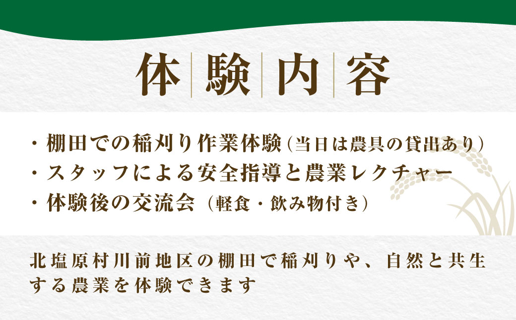 北塩原村川前棚田　稲刈り体験 KBAH003