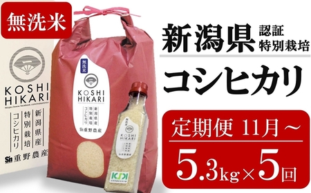 新米先行予約【5ヶ月定期便・11月～発送】コシヒカリ 無洗米 5kg（ペットボトル米 300g 1本付き）×5回 （計 26.5kg）重ちゃんのお米 令和7年産 [Y0077]