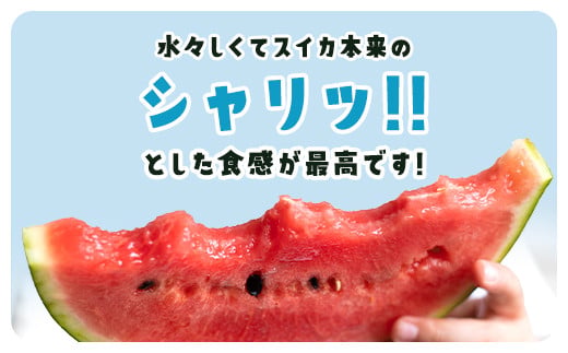 【先行予約】【6月上旬から発送】レッドサンスイカ（約8kg～約9.8kg×1玉） SMAF001