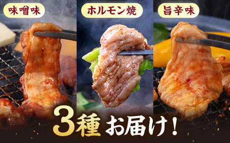 味付きホルモンセット（王塚古墳のある町桂川町）
