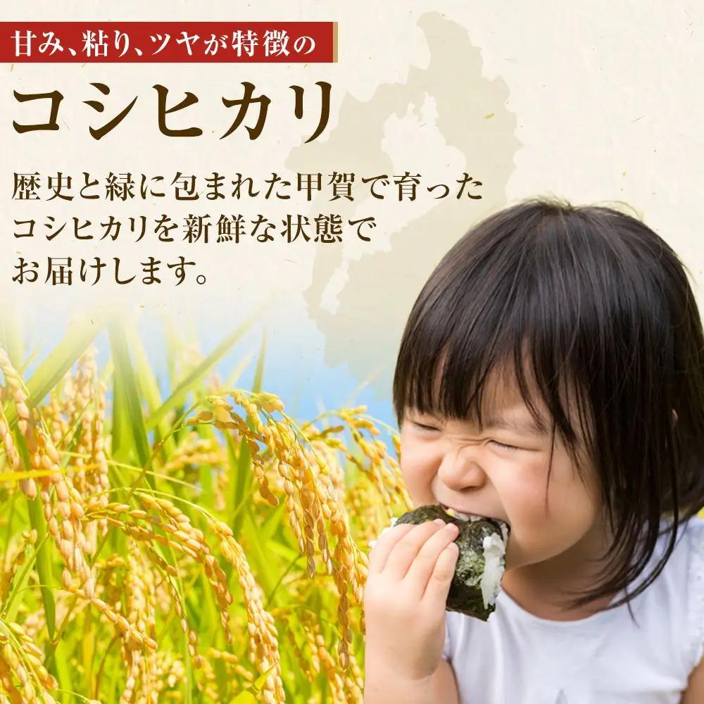 【令和7年産】近江米コシヒカリ白米10kg（5kg×2袋）