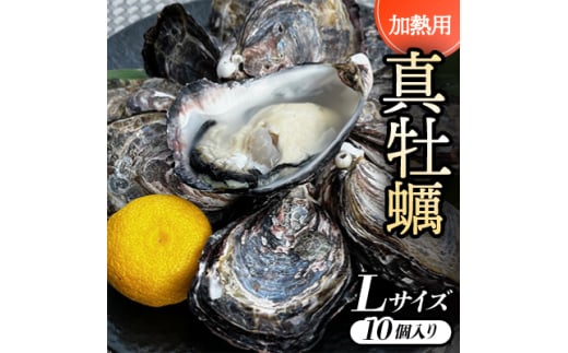 ＜Lサイズ10個入り:約80～61g/個＞加熱用真牡蠣　深日オイスターファーム直送　専用ナイフ付き　【1570780】