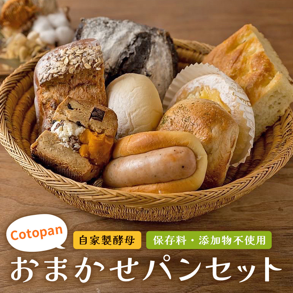 ＜Cotopanおまかせパンセット（8～9個）＞ 天然酵母 国産 ハード系 スイーツ モーニング 低温長時間発酵 パン お楽しみ 自家製酵母 詰め合わせ 愛媛県 西予市