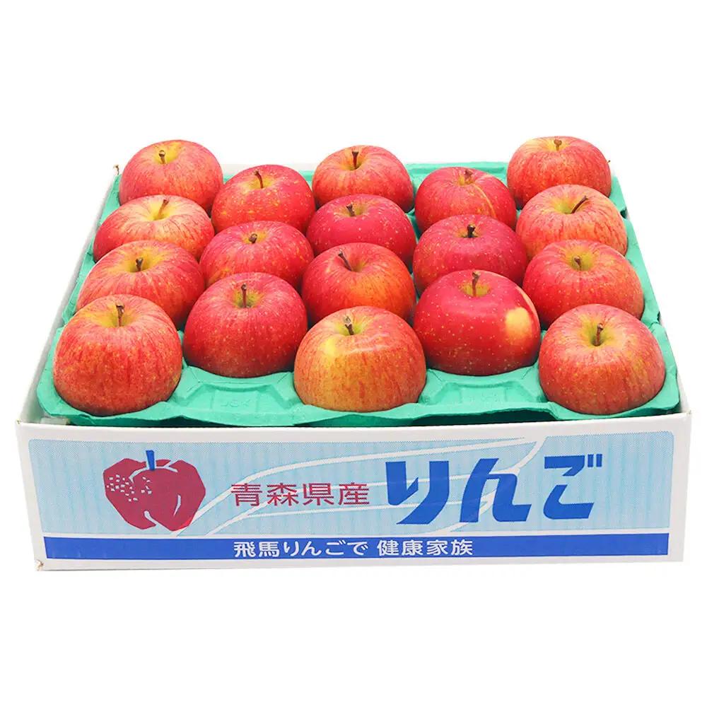 りんご 訳あり サンふじ 約5kg 【2月発送】 サンふじ