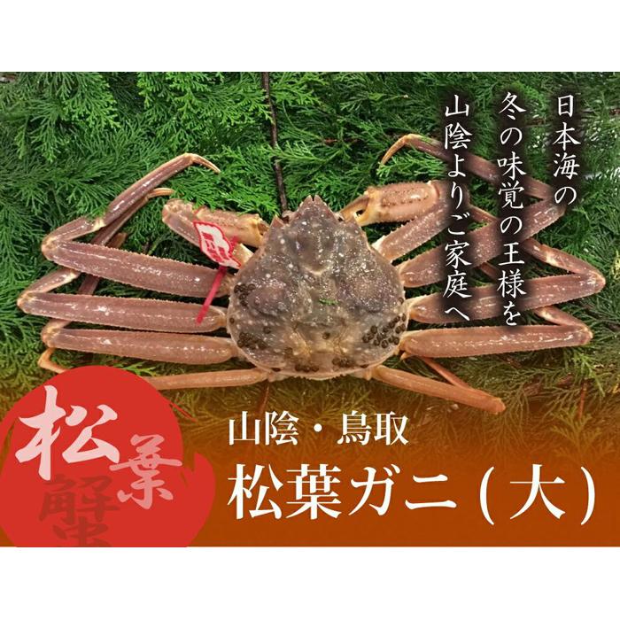 【ふるさと納税】特選とっとり松葉ガニ (大)【山根商店】 | 鳥取　蟹　かに