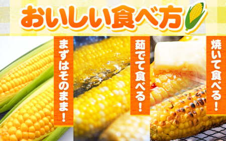 朝採れ直送！ とうもろこし おおもの 甘い 約5kg 13本入 2Lサイズ 七戸宏大《7月下旬-8月下旬出荷》岩手県 九戸村 トウモロコシ 5kg スイートコーン 新鮮 冷蔵 送料無料