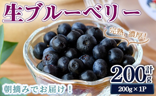 
                  ＜先行予約受付中！2026年7月上旬以降順次発送予定＞完熟、濃厚生ブルーベリー200g ブルーベリー 果物 フルーツ 青果物 クール便 スムージー ヨーグルト おやつ 【奥久慈 まほろばの郷 ふれあい農園】【ho1528】
                