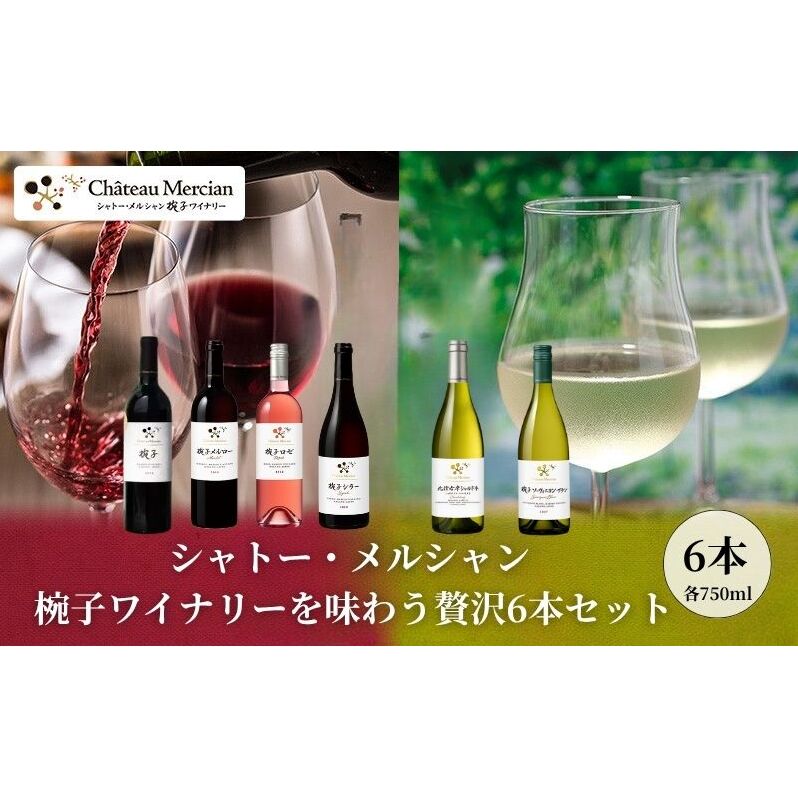【ふるさと納税】シャトー・メルシャン 椀子ワイナリーを味わう6本セット ワイン 赤ワイン 白ワイン ロゼワイン お酒 酒 アルコール 長野 長野県 上田市
