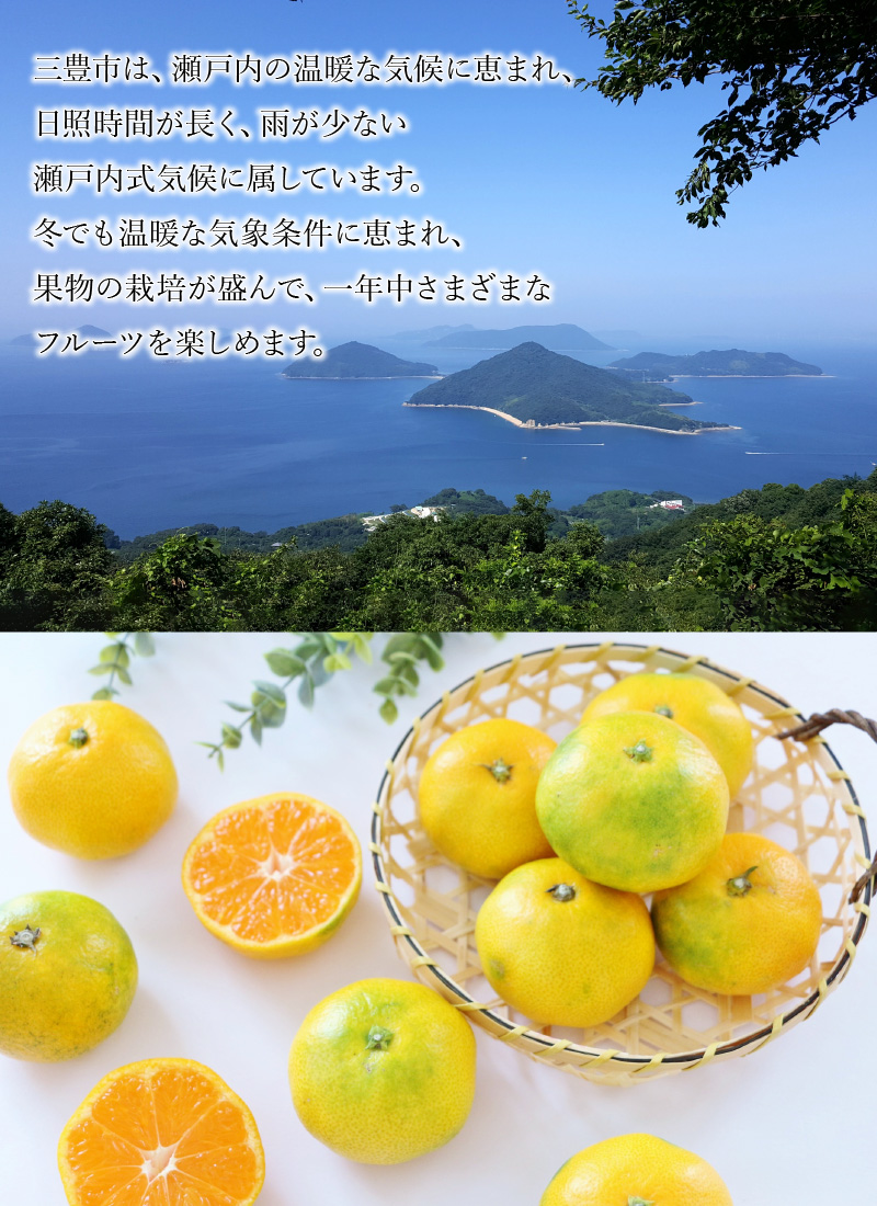 【ふるさと納税】【配送不可地域：北海道・沖縄県・離島】三豊市産　極上【ゆら早生みかん　約5ｋｇ】S〜Mサイズ  秋 旬