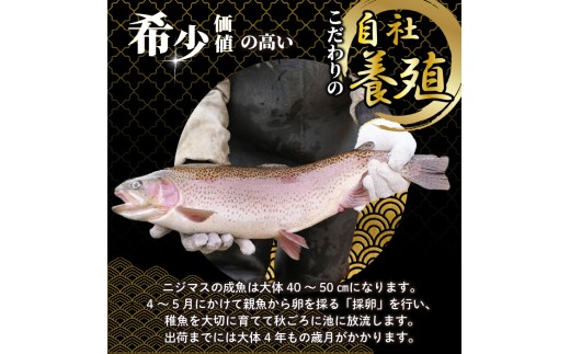 ぴっぷサーモン イクラ醤油漬け 320g(80g×4個)【にじます工房】サーモン ニジマス トラウトサーモン 鱒 ますいくら 鱒いくら イクラ いくら しょうゆ漬け 魚卵 鱒卵 養殖 小分け 便利 北海道 比布町 ぴっぷ 1009-001