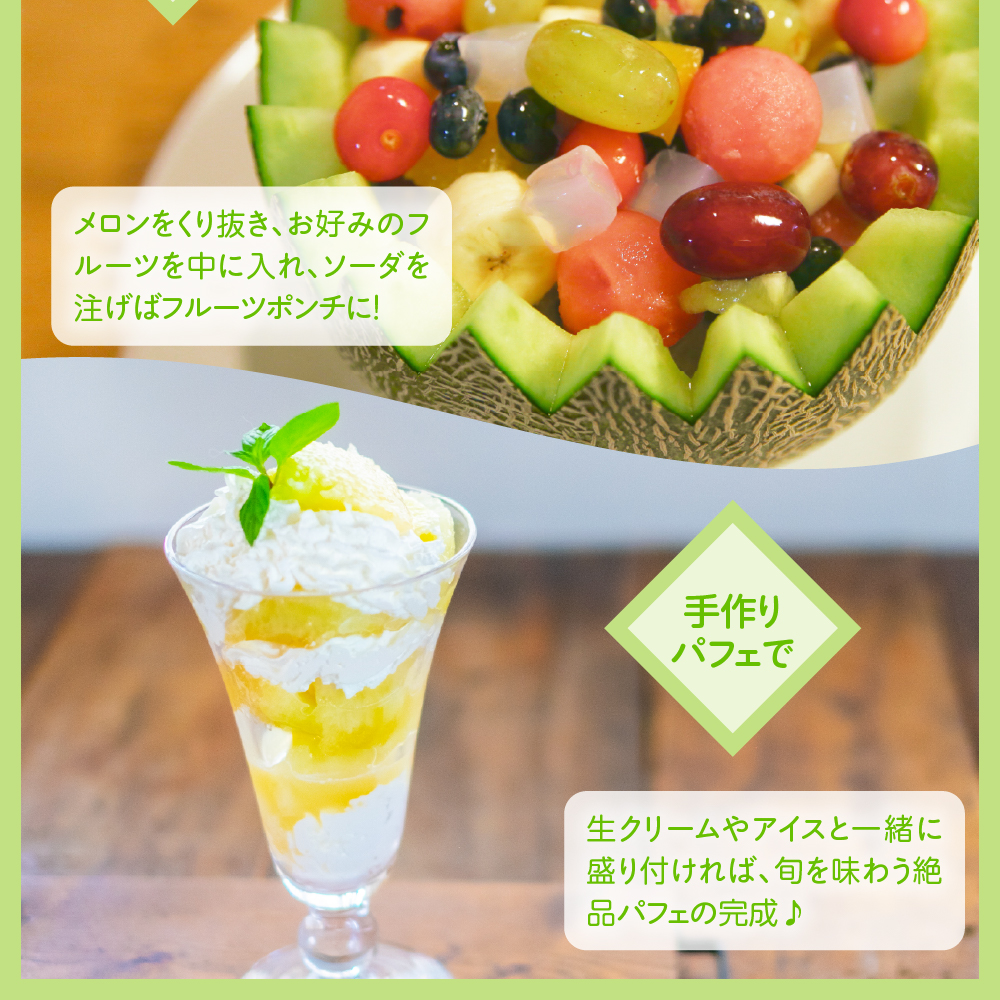 【2026年8月中旬発送】メロン 青肉 約5kg (3～6玉) 家庭用 津軽産