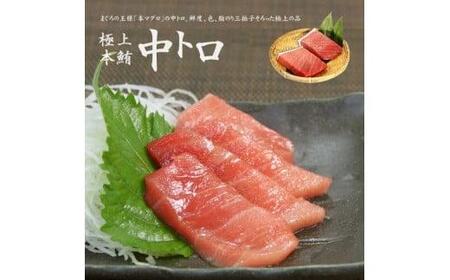 中トロ 300g 中トロ 中トロ 中トロ