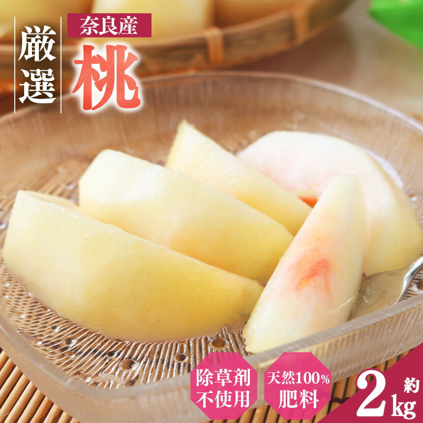 【ふるさと納税】大和果樹園の桃 約2kg | フルーツ 果物 くだもの 桃 もも ピーチ 白鳳 夢しずく あかつき 白桃 夏おとめ 白麗 奈良県 五條市