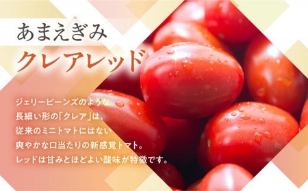 ≪今が旬≫ フルーツトマト あまえぎみ 約1kg ≪クレアレッド≫ トマト
