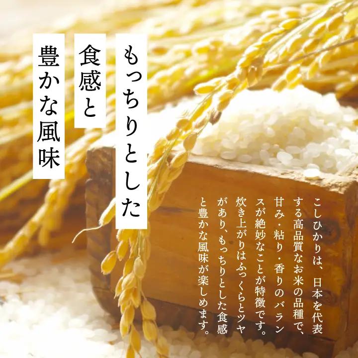 米 【定期便】こしひかり5kg×全3回【株式会社あだたら米】