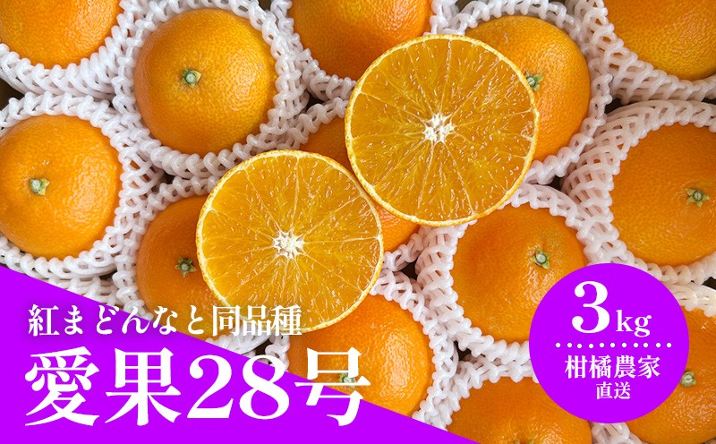 
                  【2026年11月下旬から発送予定】 数量限定 愛果28号（紅まどんなと同品種） 約3kg 愛媛 あいか 柑橘 あいか えひめ あいか くだもの あいか 松山 あいか みかん あいか 北条 あいか フルーツ あいか
                