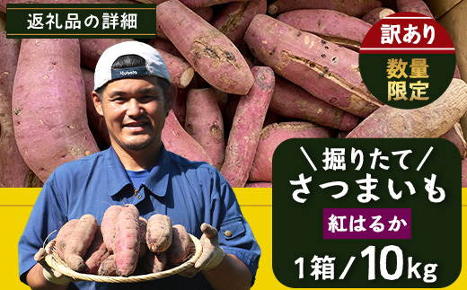 【訳あり！】【先行予約：9月中旬配送～】掘りたて さつまいも 紅はるか 10kg (自宅で簡単レシピ付き）FR-208 | 秋の味覚 2026年秋収穫 サイズランダム 家庭用 新物 さつまいも サツマイモ 感動サツマイモ 焼き芋 べにはるか 野菜 おやつ おかず お弁当 煮物 芋ごはん 味噌汁 産地直送 鹿児島県 南大隅町 株式会社フォレスト