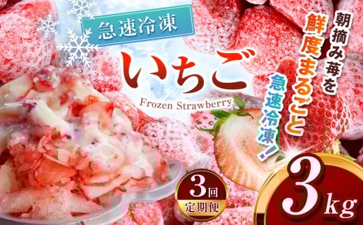 【定期便3回】冷凍いちご とちあいか 3kg カット済み | 定期便 訳あり 2026年 とちあいか いちご イチゴ 朝摘み 冷凍 ジャム カクテル スムージー フルーツ 苺 新鮮 日本一 栃木県 真岡市 送料無料