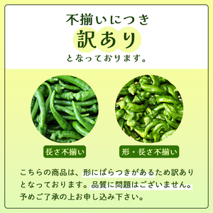 【訳あり】 万願寺甘とう 良品 2kg | 訳あり野菜 万願寺あまとう 万願寺とうがらし 京野菜
