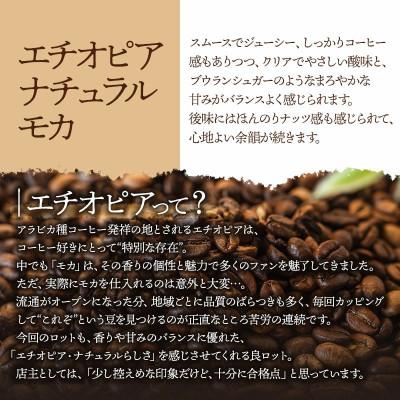 ふるさと納税 鶴岡市 千一珈琲 コーヒー豆「エチオピアナチュラルモカ」91g [K-710] |  | 02