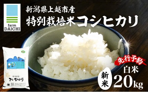 
                  先行予約 令和8年 新米 新潟県上越市産 特別栽培米 コシヒカリ 20kg （5kg×4袋）お米 コメ こしひかり ふぁーむ大地
                