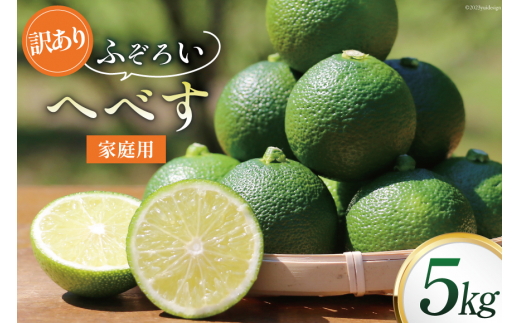 【期間限定発送】 へべす 訳あり 柑橘 ふぞろい 果実 5kg [山本農園 宮崎県 日向市 452060744] ヘベス 果汁 柑橘 ポン酢 調味料