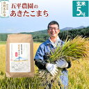 【ふるさと納税】【玄米】あきたこまち 令和6年産 秋田県産 五平農園のあきたこまち 5kg