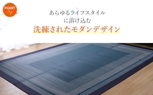 ＤＸランクス（191×250）（色：ネイビー）　AA157