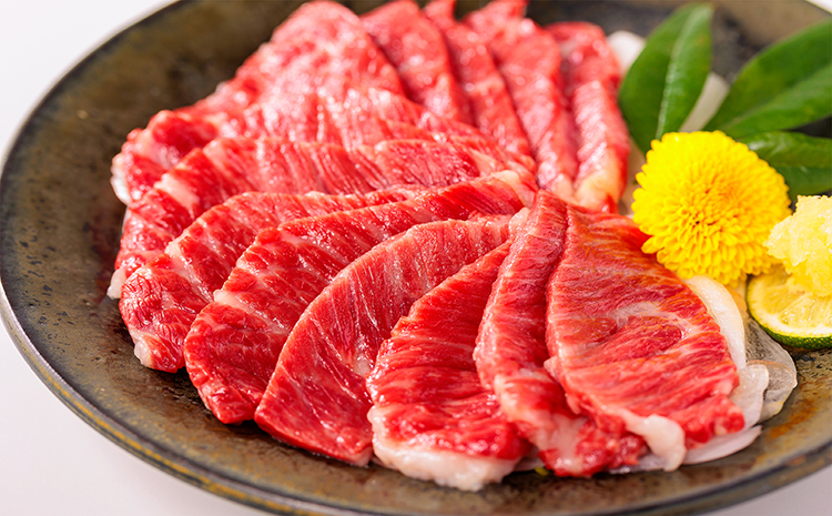 国産 熊本馬刺し 2種の霜降り 贅沢食べ比べセット 合計500g 大トロ 中トロ 馬肉