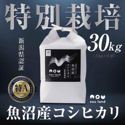 ふるさと納税 十日町市 【令和7年産 新米予約】 農家直送 魚沼産 コシヒカリ 特別栽培米 30kg 十日町市 のうランド