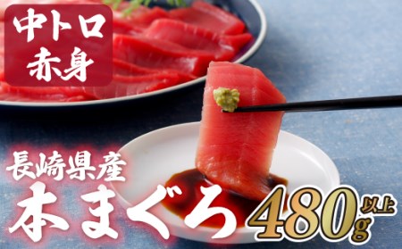 【 中トロ 赤身 】長崎県産本マグロ 480g 海鮮丼 A131