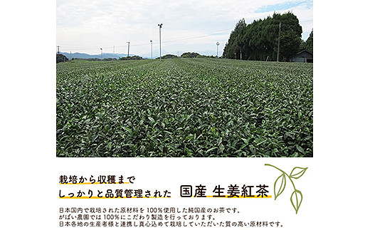 国産 生姜紅茶：A085-016_イメージ3