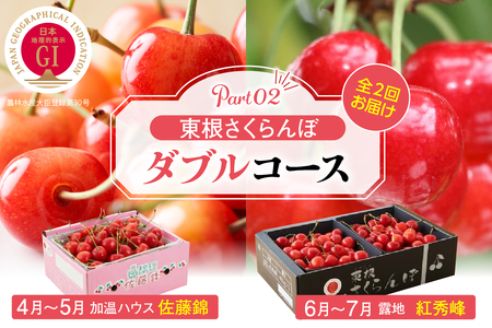 【2026年産 先行予約】東根さくらんぼ　ダブルコースpart2（佐藤錦加温500g、紅秀峰800g） 山形県 東根市 hi001-045 ふるさと納税 さくらんぼ サクランボ フルーツ 果物 佐藤錦 紅秀峰 期間限定 先行予約 先行受付 東北 山形 東根市 ハウス栽培 人気 露地 加温ハウス
