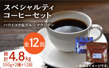 【全12回】スペシャルティコーヒー各200g コーヒー[XBE037]