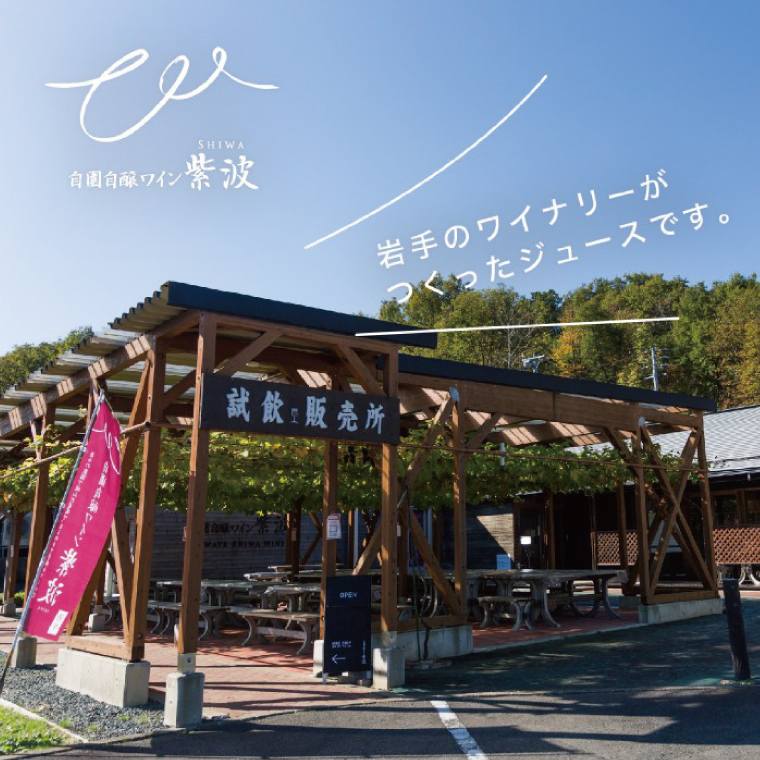 ★無添加 無加糖★ 紫波町産 りんごジュース 2本 セット 【2026年10月中旬以降発送】 ストレート 100％ ノンアルコール リンゴ (AL055-1)
