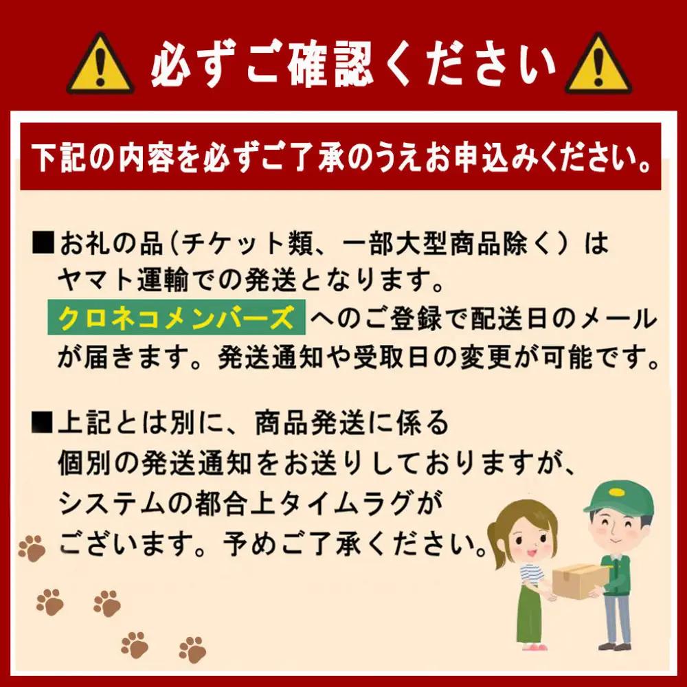 カップ＆ソーサー 麻の葉 漆黒 ［NF278］