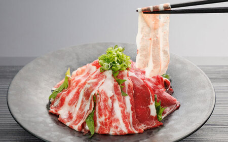 新感覚!極薄スライス「花びら馬刺し」3種盛り300g(専用醤油付き) / 馬刺し 菊陽町 熊本県 醤油 専用 ばさし 馬肉 肉 niku おつまみ 九州 冷凍【有限会社 桜屋】[BHDB004]