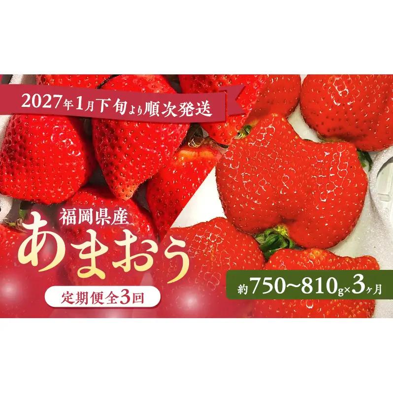あまおう 定期便 いちご 福岡県産 あまおう【3パック×3回】【定期便3回】