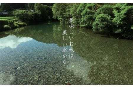 予約受付 2026年8月下旬〜9月上旬頃 新米収穫後発送「赤松大田楽奉納米」コシヒカリ5kg