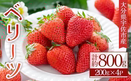 ＜2026年1月上旬～4月下旬の間に発送予定＞いちご(計約800g・200g×4P)苺 イチゴ フルーツ 果物 くだもの 果実 ベリーツ【117900100】【Farm U.S.A.】