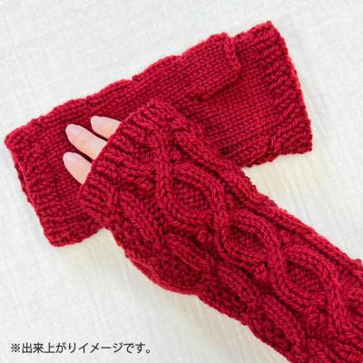 ふるさと納税 江南市 毛糸2玉で編めるケーブル模様のハンドウォーマーキット 16番色 |  | 02