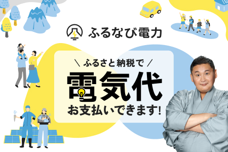 【ふるなび電力ポイント】茨城県（県庁）電気代をふるさと納税で払える無期限ポイント