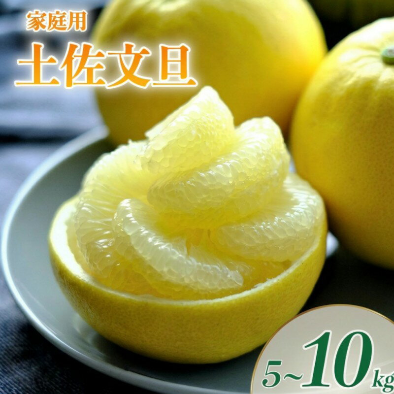【ふるさと納税】 文旦 土佐文旦 5~10kg L~3L サイズ（ 家庭用 ）柑橘 柑橘類 フルーツ 文旦 ぶんたん ブンタン 土佐文旦 果物 くだもの デザート フルーツセット 産地直送 大玉 小玉 季節限定 お裾分け 分担 丸昭果樹園 高知柑橘 高知県 黒潮町