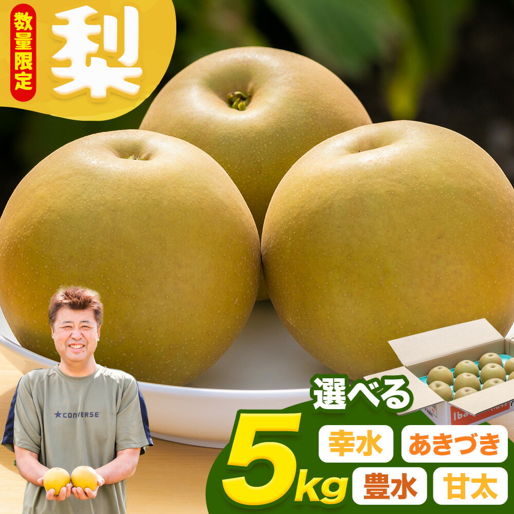 【ふるさと納税】【先行予約・数量限定】梨 約5kg 選べる品種 幸水 豊水 あきづき 甘太 石川梨・ぶどう園《8月上旬-10月上旬頃出荷》茨城県 結城市 梨 ナシ なし 果物 フルーツ 幸水 こうすい 豊水 ほうすい あきづき 甘太 かんた【配送不可地域あり】（離島）